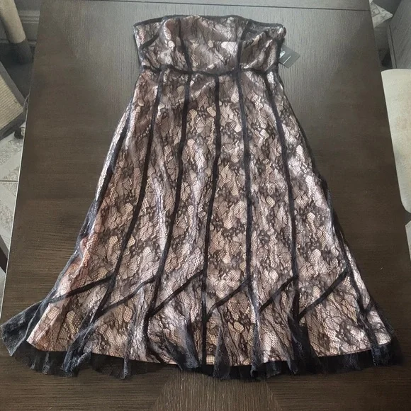 Kimchi Blue Strapless Blush & Black Lace Fit-and-Flare Dress